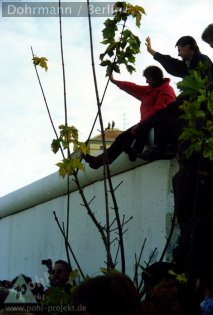 Vergr&ouml;&szlig;ern?